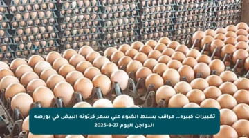 تغييرات كبيرة.. مراقب يسلط الضوء على سعر كرتونة البيض في بورصة الدواجن اليوم 27-9-2025